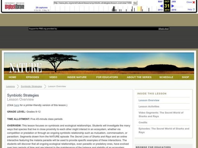 Symbiotic Strategies Lesson Plan