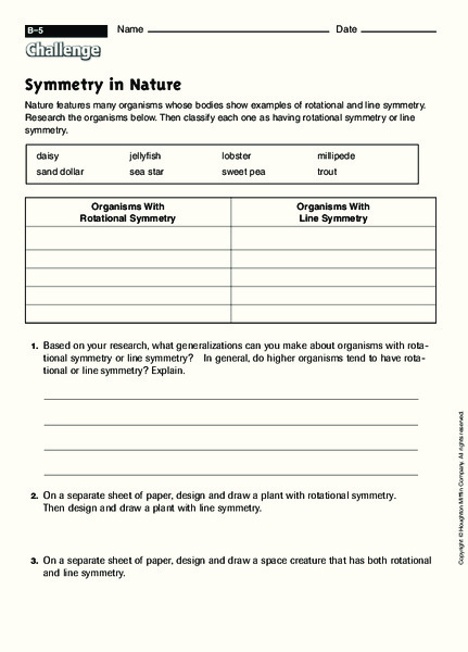 Symmetry in Nature Worksheet
