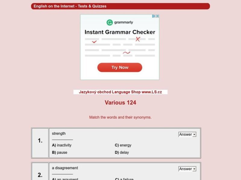 Synonyms Interactive