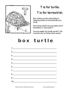 T is for Turtle Worksheet