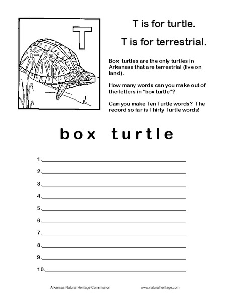 T is for Turtle Worksheet