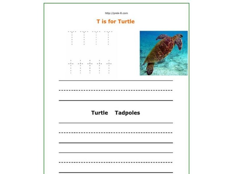 T is for Turtle Worksheet