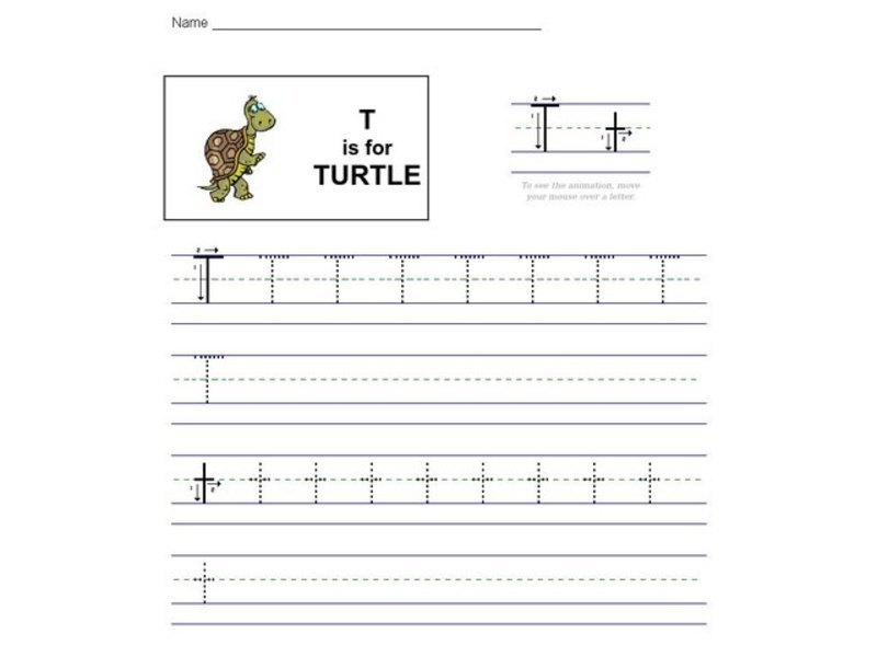 T is for Turtle Worksheet