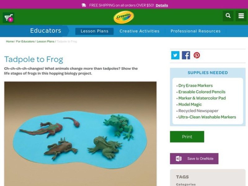 Tadpole to Frog Lesson Plan