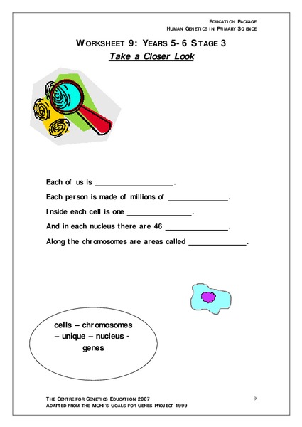 Take a Closer Look Worksheet