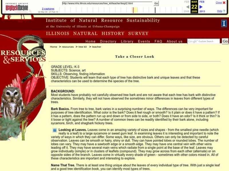 Take a Closer Look Lesson Plan