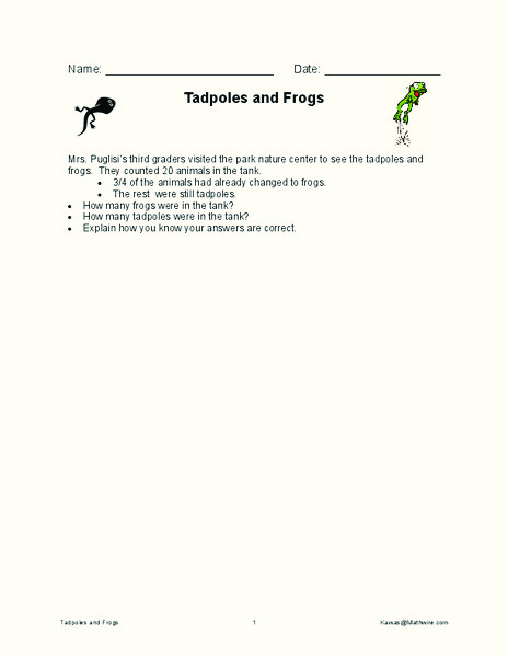 Tadpoles and Frogs Worksheet