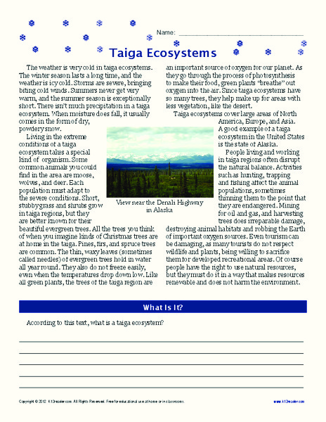Taiga Ecosystems Worksheet