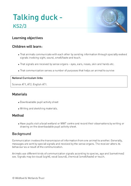 Talking Duck Lesson Plan