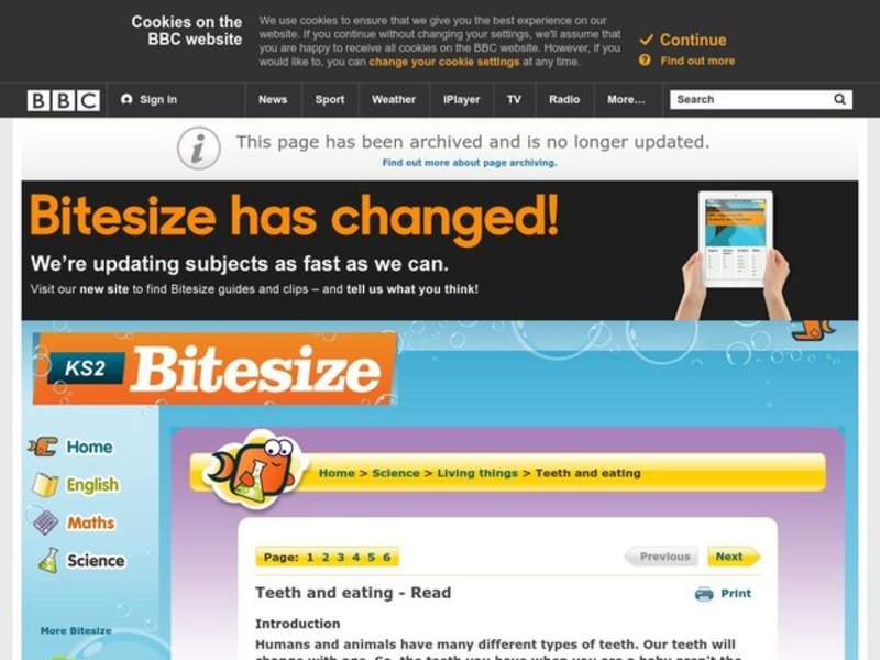 Teeth And Eating Lesson Plan