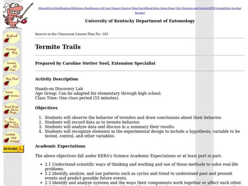 Termite Trails Lesson Plan