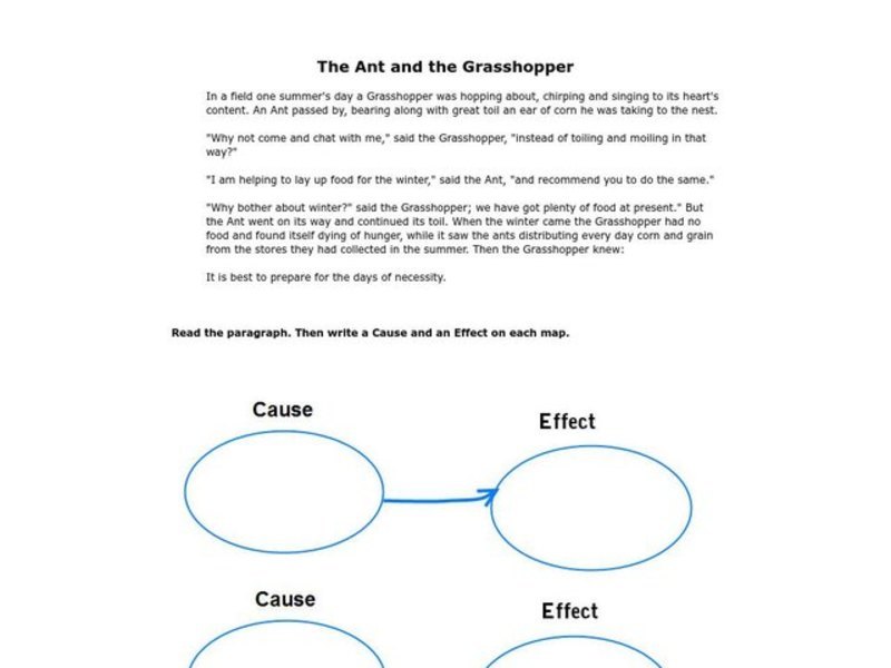 The Ant and the Grasshopper Organizer