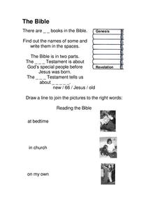 The Bible Lesson Plan