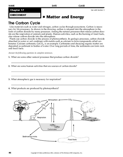 The Carbon Cycle Worksheet