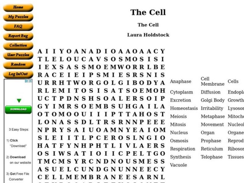 The Cell Worksheet