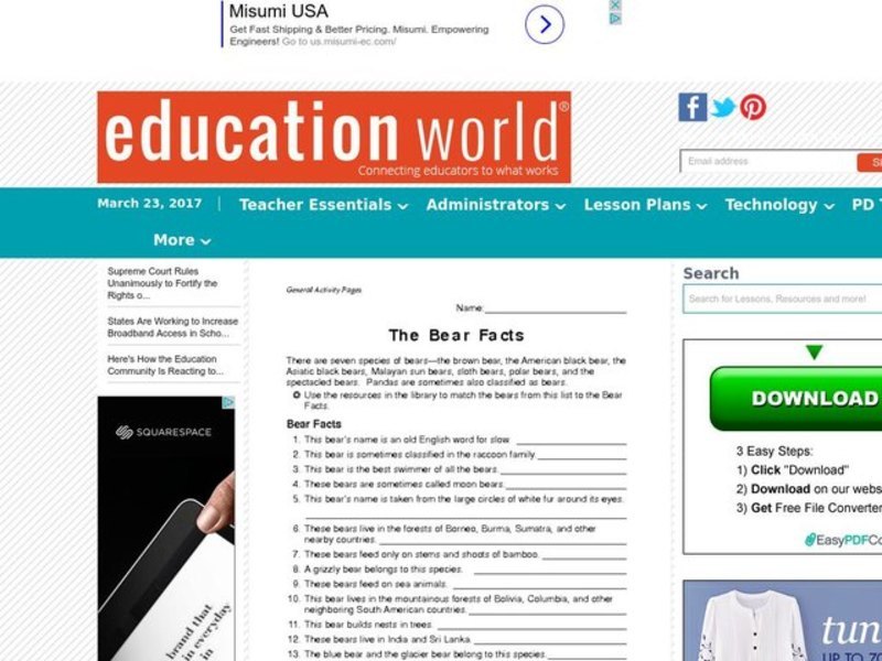 The Bear Facts Lesson Plan