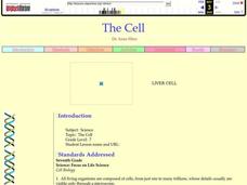 The Cell Lesson Plan