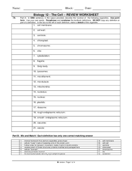 The Cell Worksheet