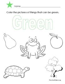 The Color Green Lesson Plan