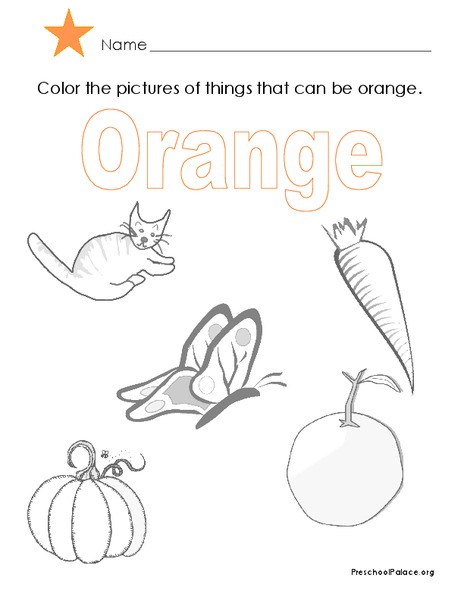 The Color Orange Lesson Plan