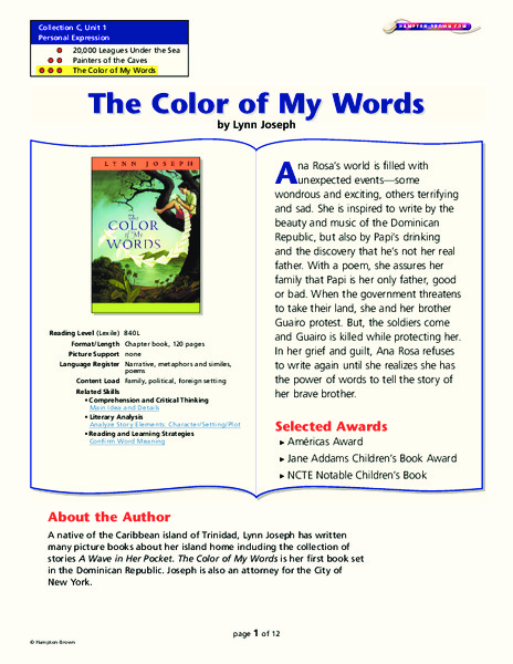 The Color of My Words Lesson Plan