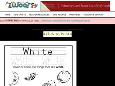 The Color White Worksheet
