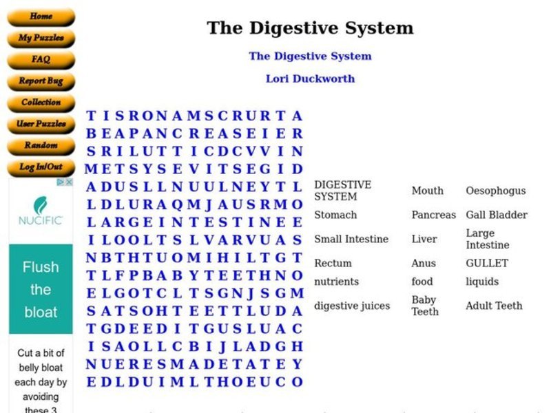 The Digestive System Worksheet