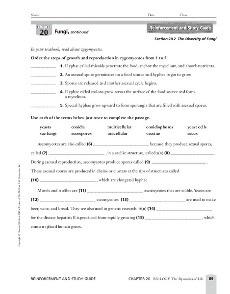 The Diversity of Fungi Worksheet