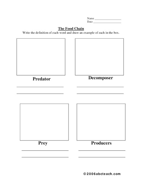 The Food Chain Worksheet