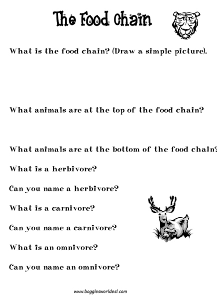 The Food Chain Worksheet