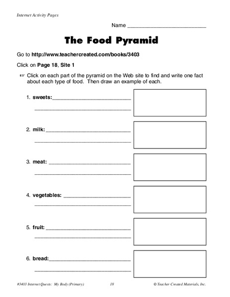 The Food Pyramid Organizer