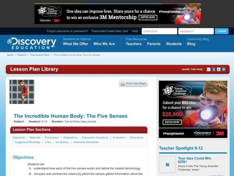 The Five Senses Lesson Plan