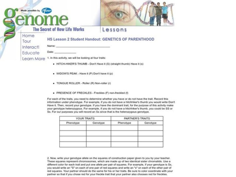 The Genetics of Parenthood Lesson Plan