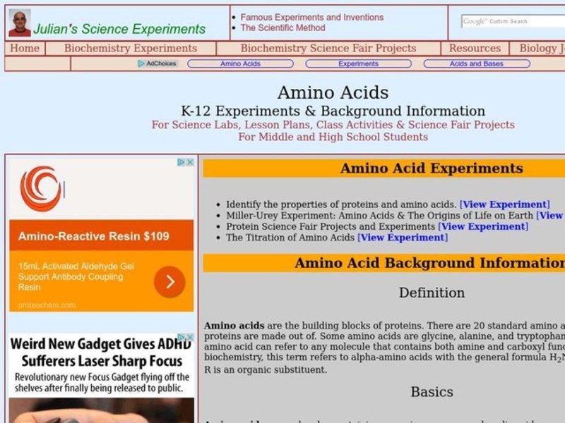 Amino Acids Lesson Plan