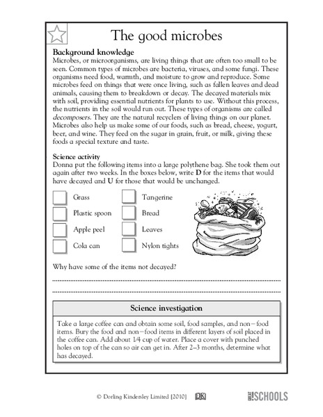The good microbes Worksheet