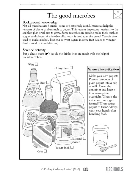The Good Microbes Worksheet