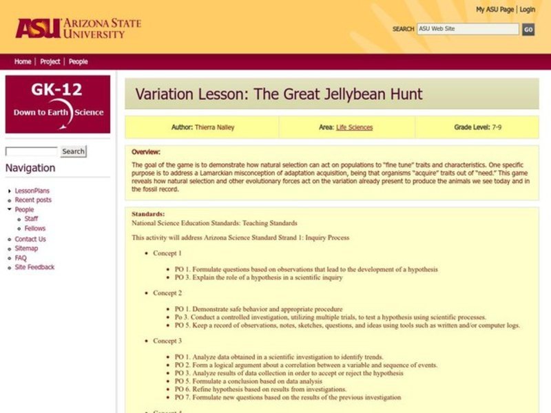 The Great Jellybean Hunt Lesson Plan
