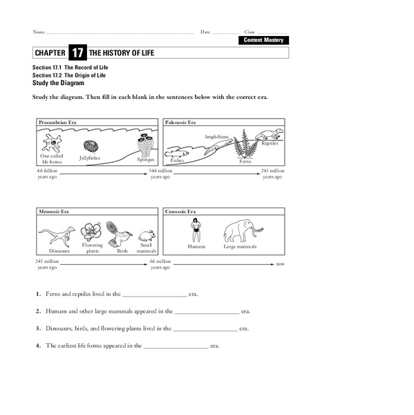 The History of Life Worksheet