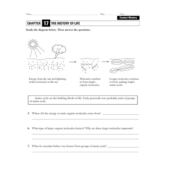 The History of Life Worksheet