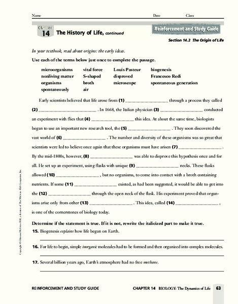 The History of Life Worksheet