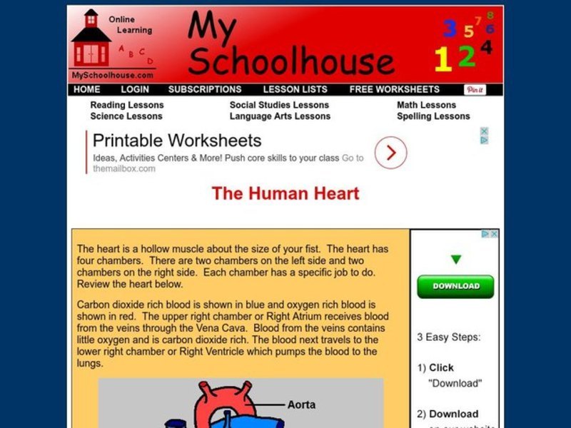 The Human Heart Interactive