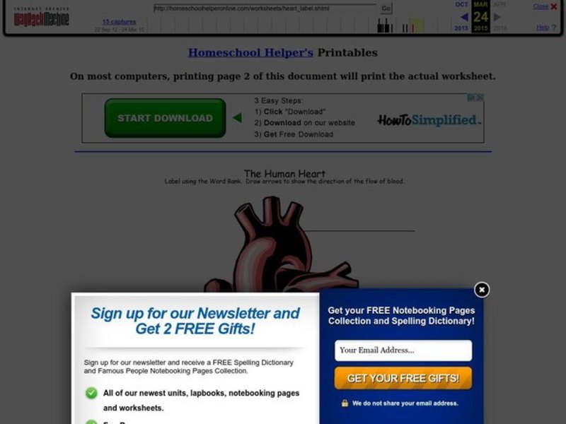 The Human Heart Worksheet