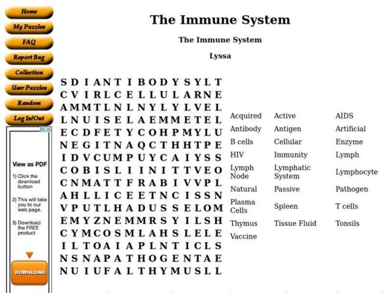 The Immune System Worksheet