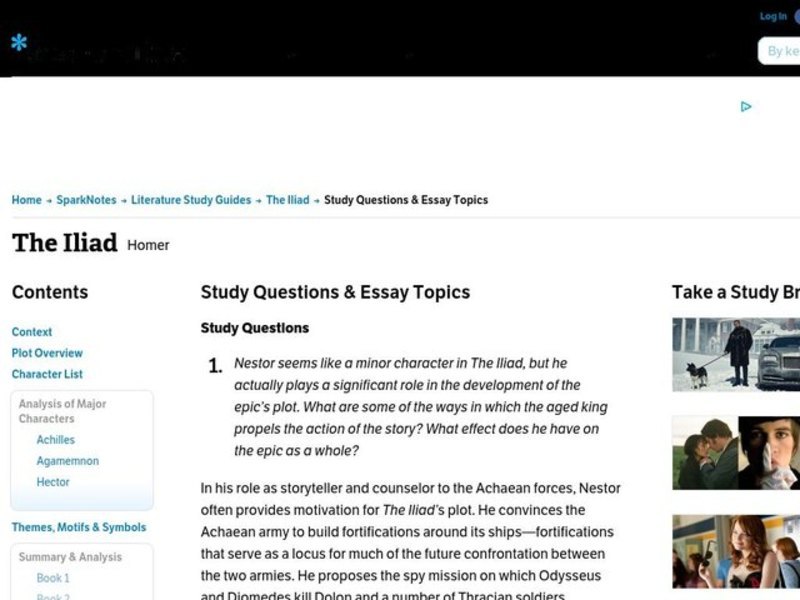 The Iliad by Homer: Study Guide - Mini Essays Study Guide