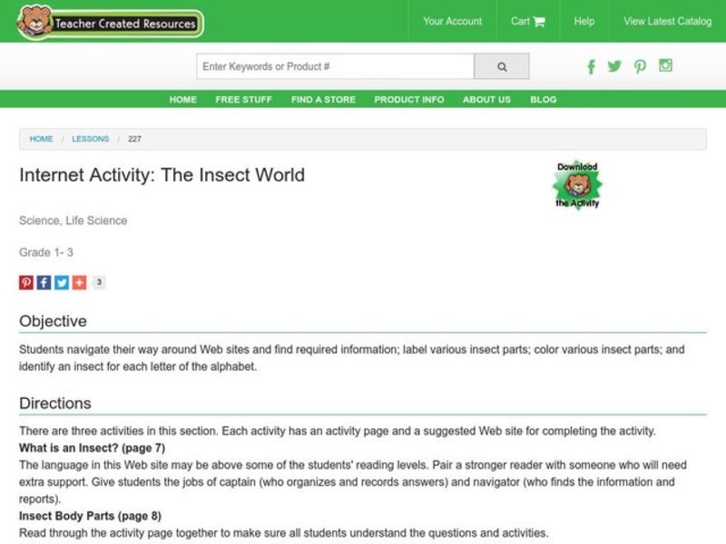 The Insect world Lesson Plan