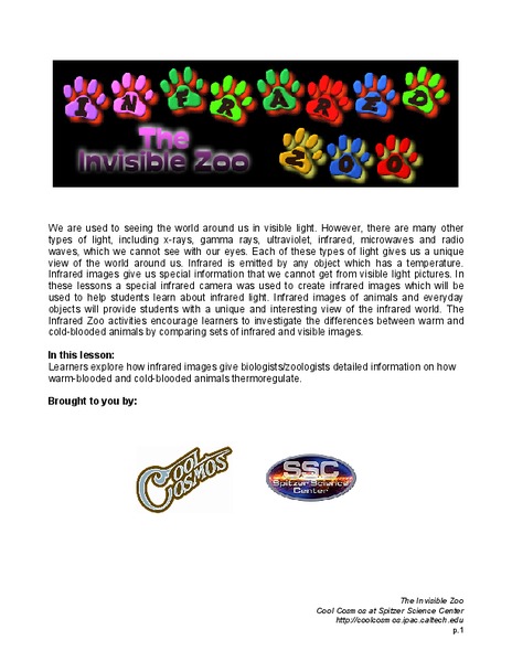 The Invisible Zoo Lesson Plan