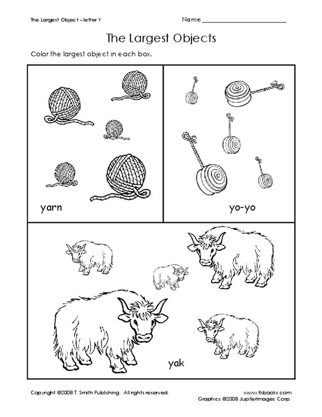The Largest Objects Worksheet