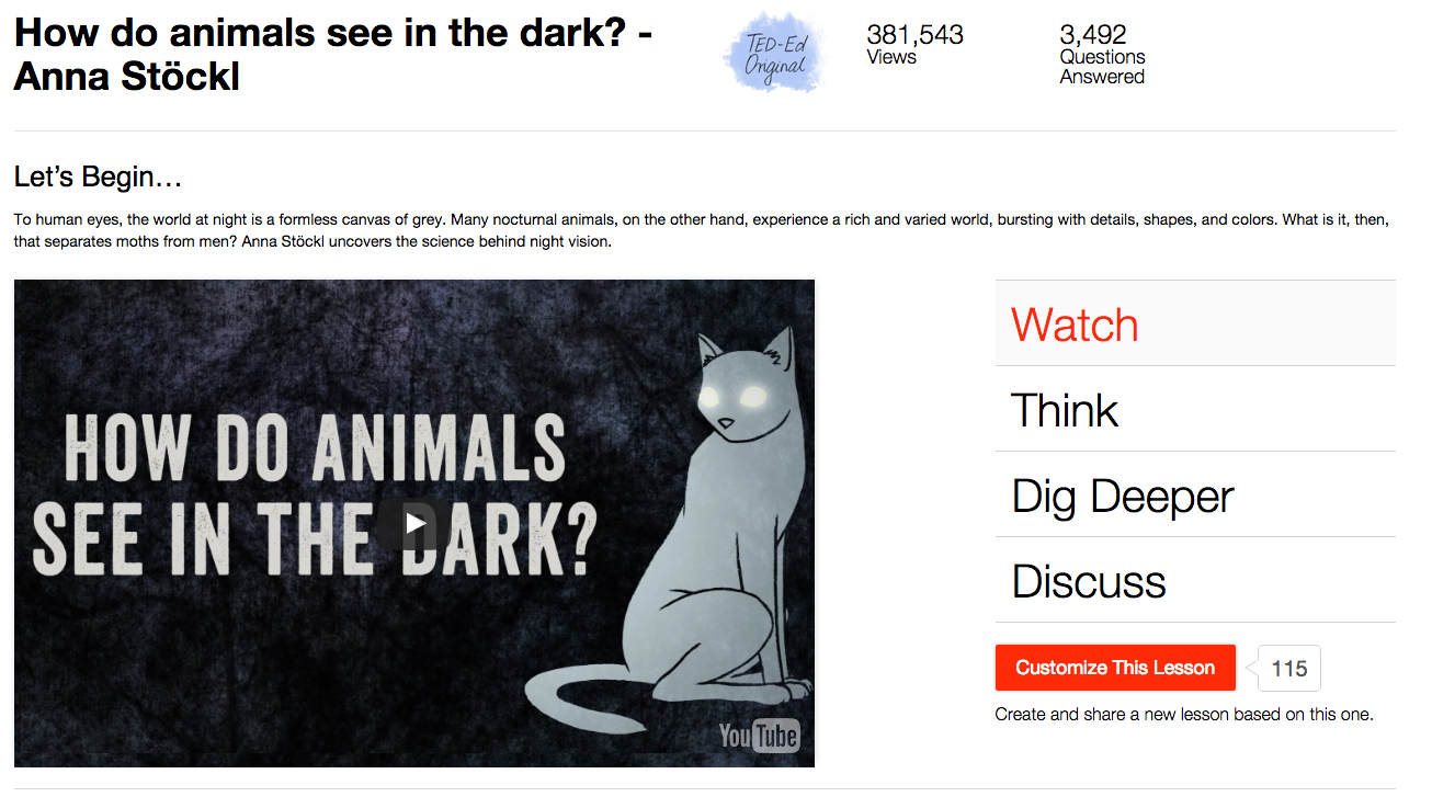 How Do Animals See in the Dark? Instructional Video