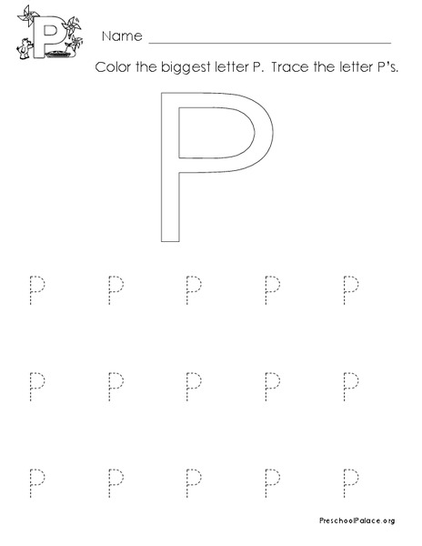 The Letter P Lesson Plan