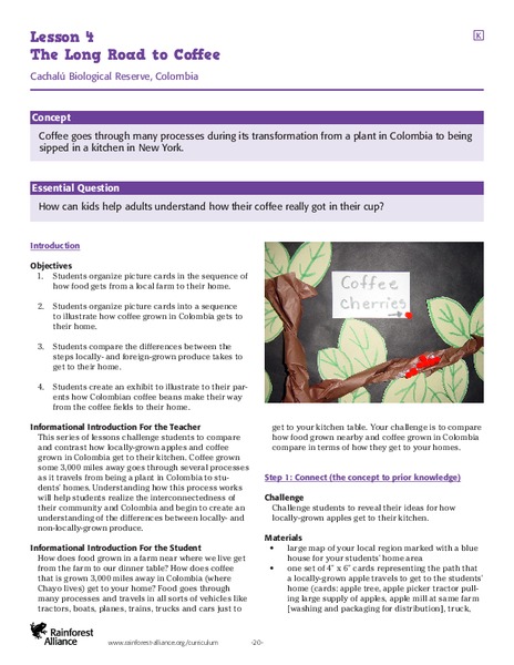 The Long Road to Coffee Lesson Plan